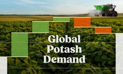 The preview image for a bar chart, sponsored by BHP, showing the causes of the increasing global demand for potash.