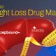 A preview of a donut chart of the leading weight loss drugs brands by revenue market share.