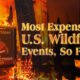 Preview of a bar chart showing the most expensive U.S. wildfires, using data from NOAA.
