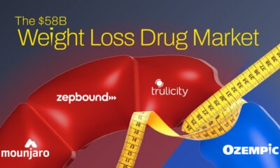 A preview of a donut chart of the leading weight loss drugs brands by revenue market share.