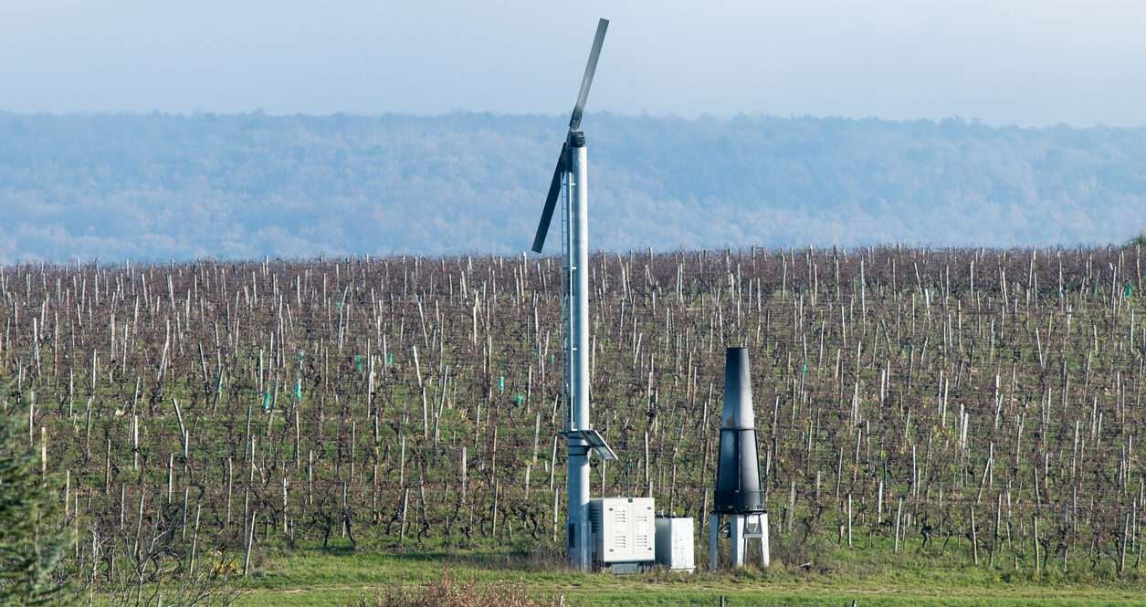 Heater and wind machine to protect grapes from frost in French vineyard. Image credit: istock/Cornutus
