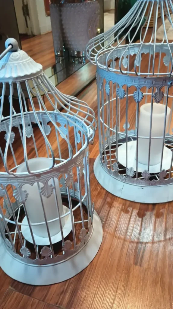 Birdcage Decor Ideas