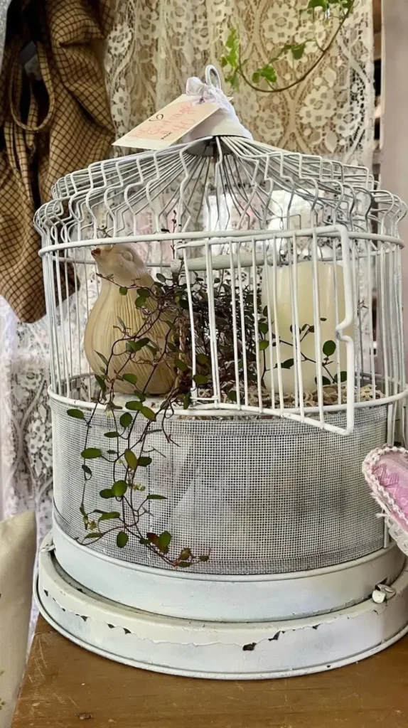 Birdcage Decor Ideas