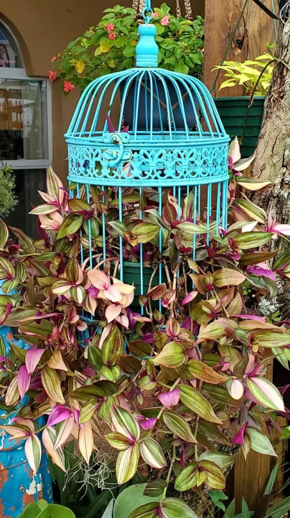 Birdcage Decor Ideas