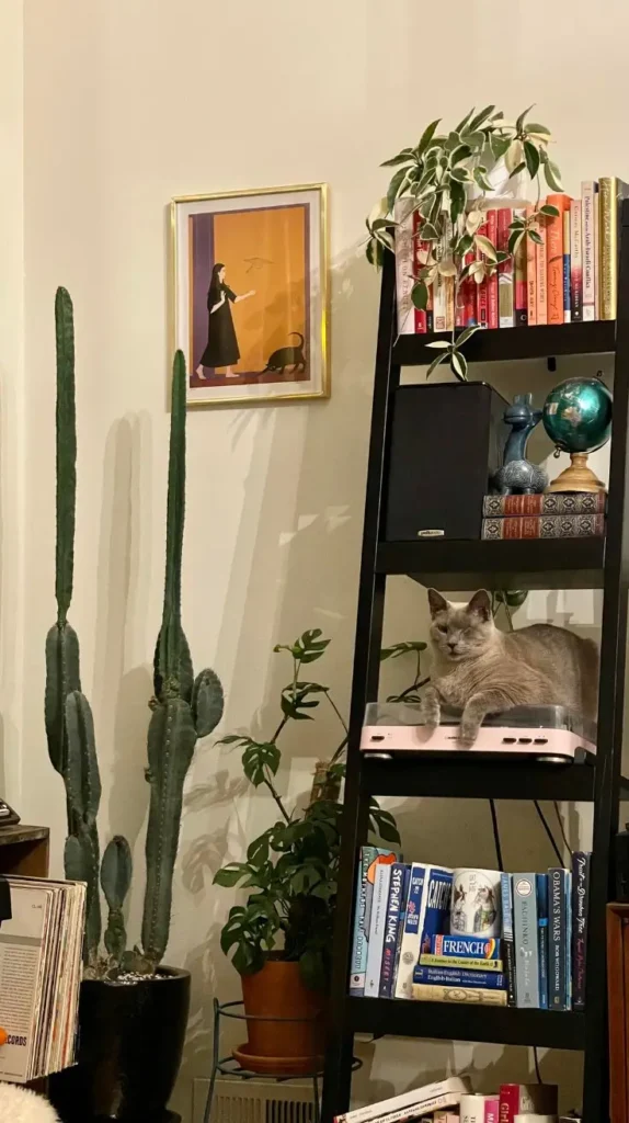 Bookshelf Decorating Ideas