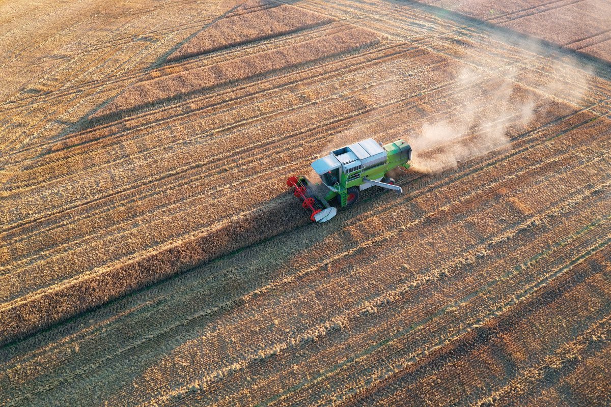 Aerial view of combine harvester moving across a field of beige-coloured crops, apparently performing harvesting