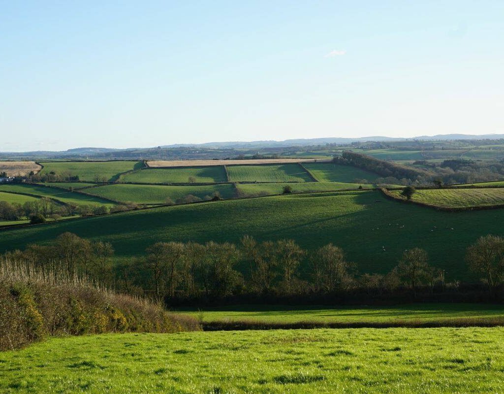 Rural Devon, southwest England, January 2024. Photo: Matt McIntosh