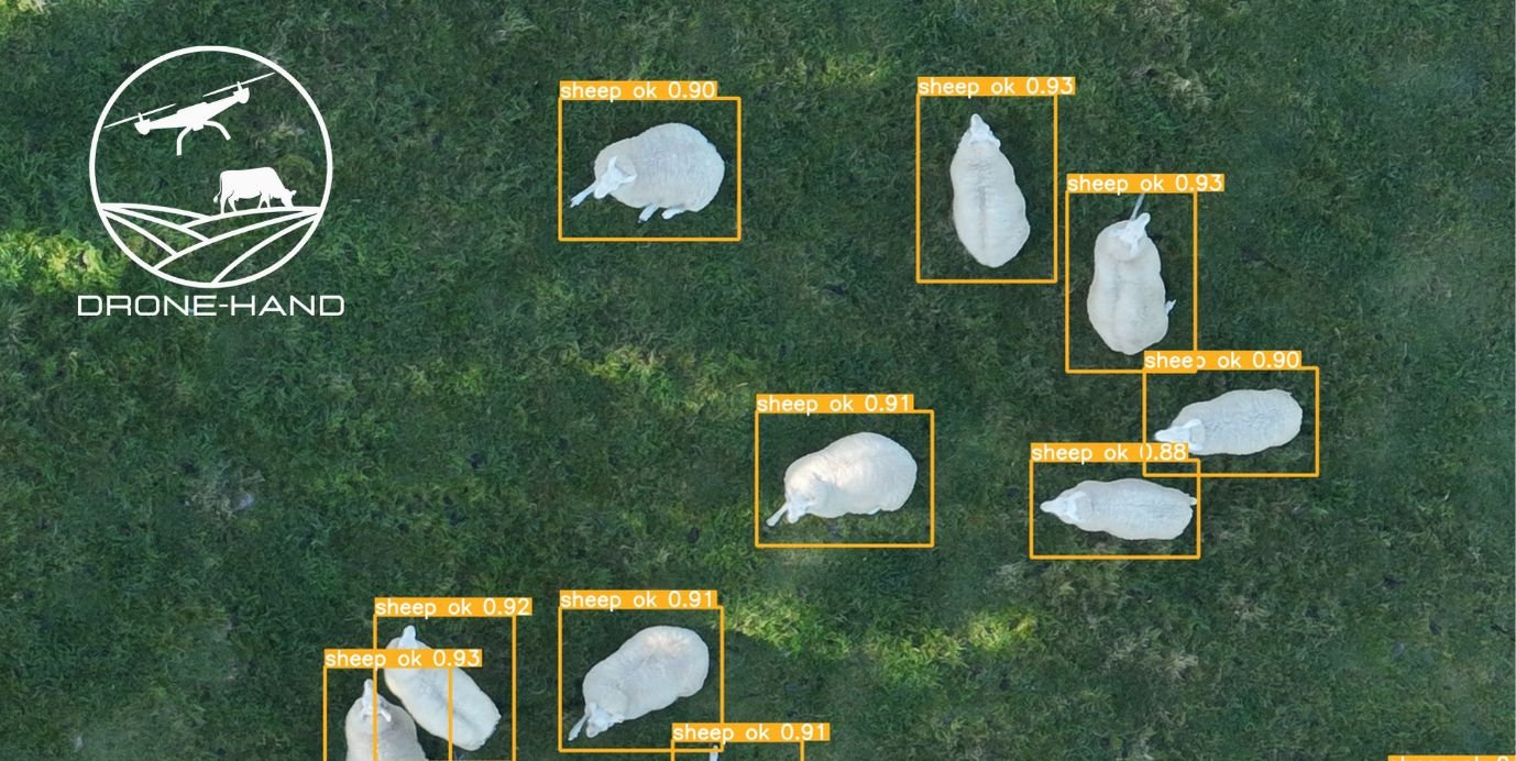 Image credit: Drone Hand