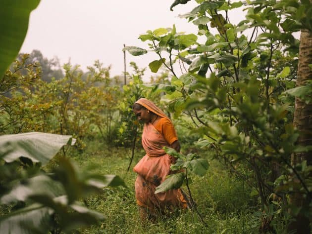 Indian farmer walks among land