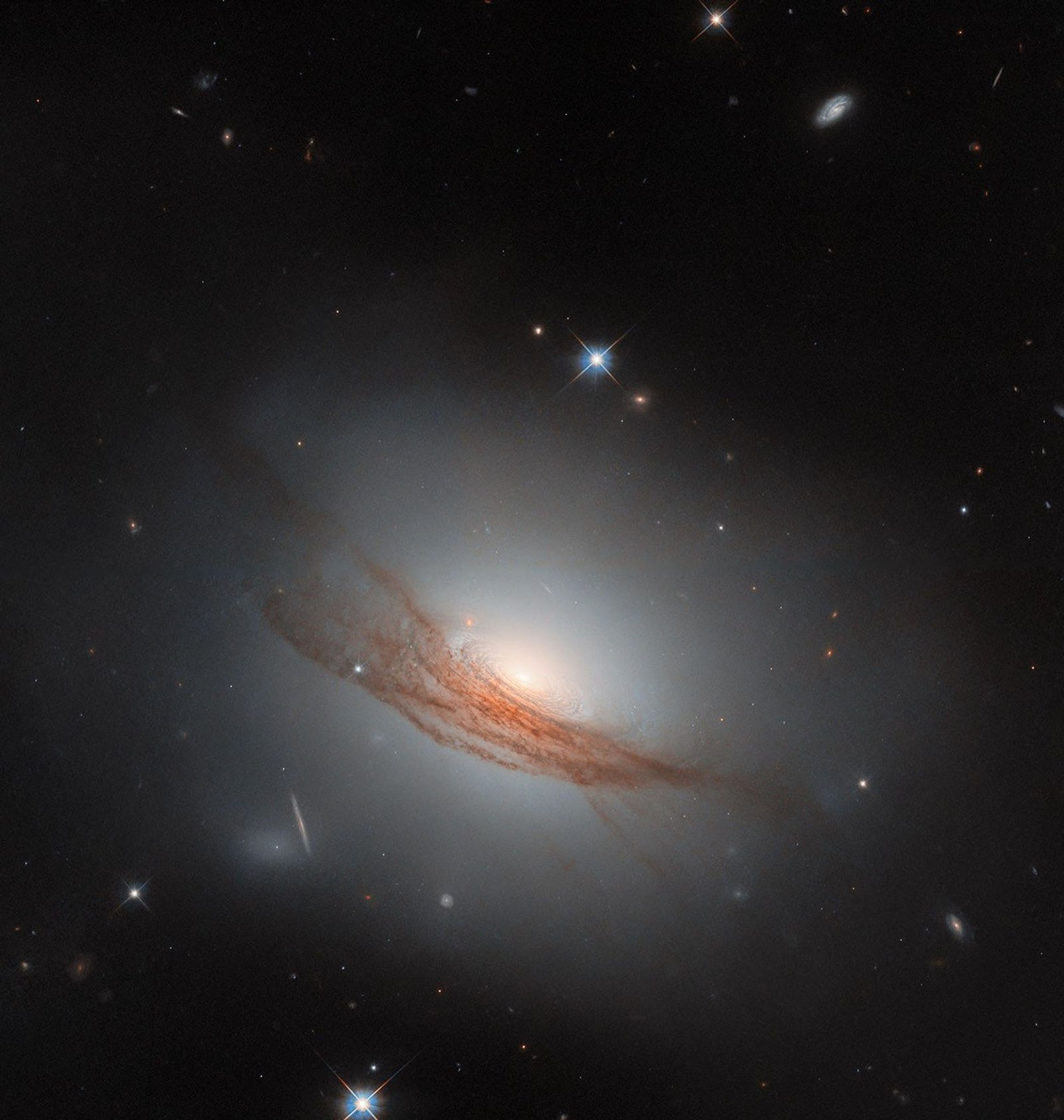 A disk-shaped galaxy. It glows brightly at the center and shines a faint white light all around it. The disk is made up of tightly-packed rings of dust, some darker and some lighter. Wide, long lanes of dark reddish dust cross the galaxy in front of its edge, blocking out some of its light; the long strands twist and break apart at each side. A couple of nearby stars and distant galaxies are also visible on the black background.
