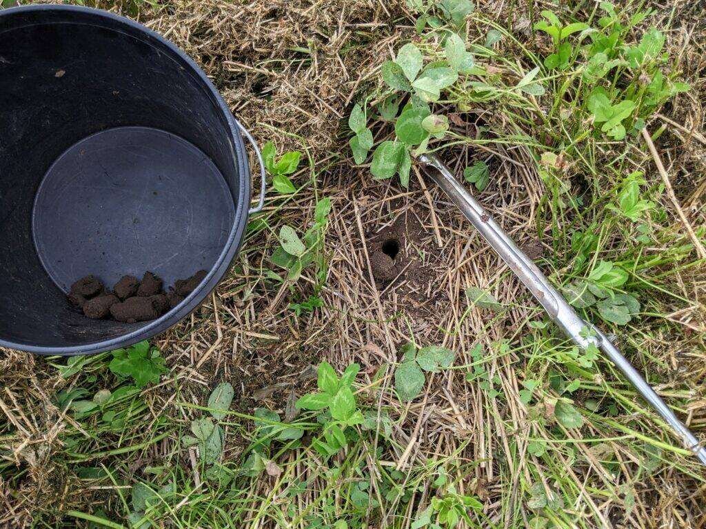 Proper tools for sampling include stainless steel probes and plastic pails. Photo: OMAFA