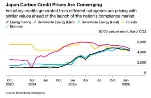 carbon credit Japan