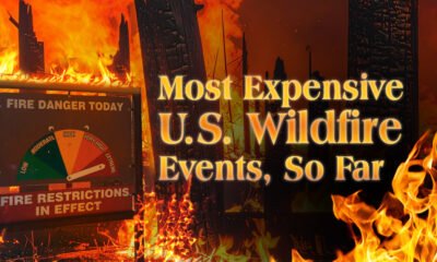 Preview of a bar chart showing the most expensive U.S. wildfires, using data from NOAA.
