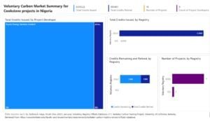 Nigeria cookstove project carbon credit summary