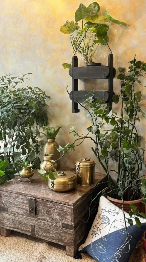 Plant Room Ideas Plant Room Ideas