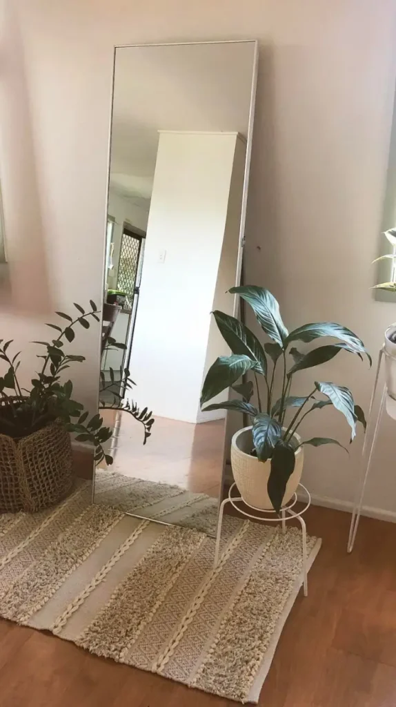 Plant Room Ideas Plant Room Ideas