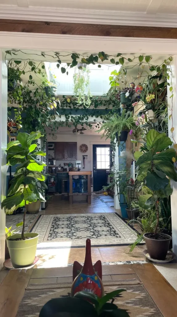 Plant Room Ideas Plant Room Ideas