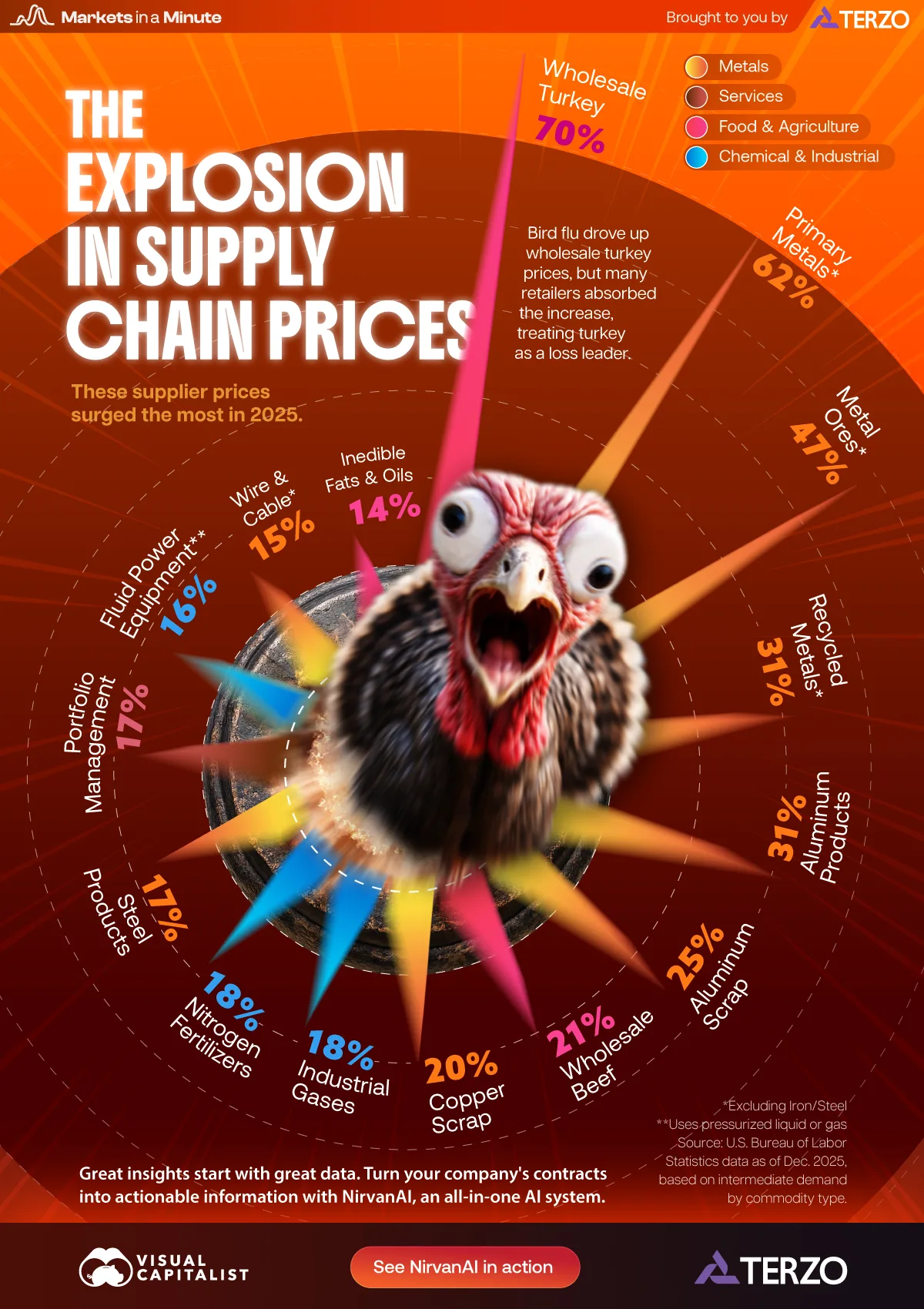 A radial bar chart showing that inflation in wholesale turkey was the highest supply chain price increase in 2025.