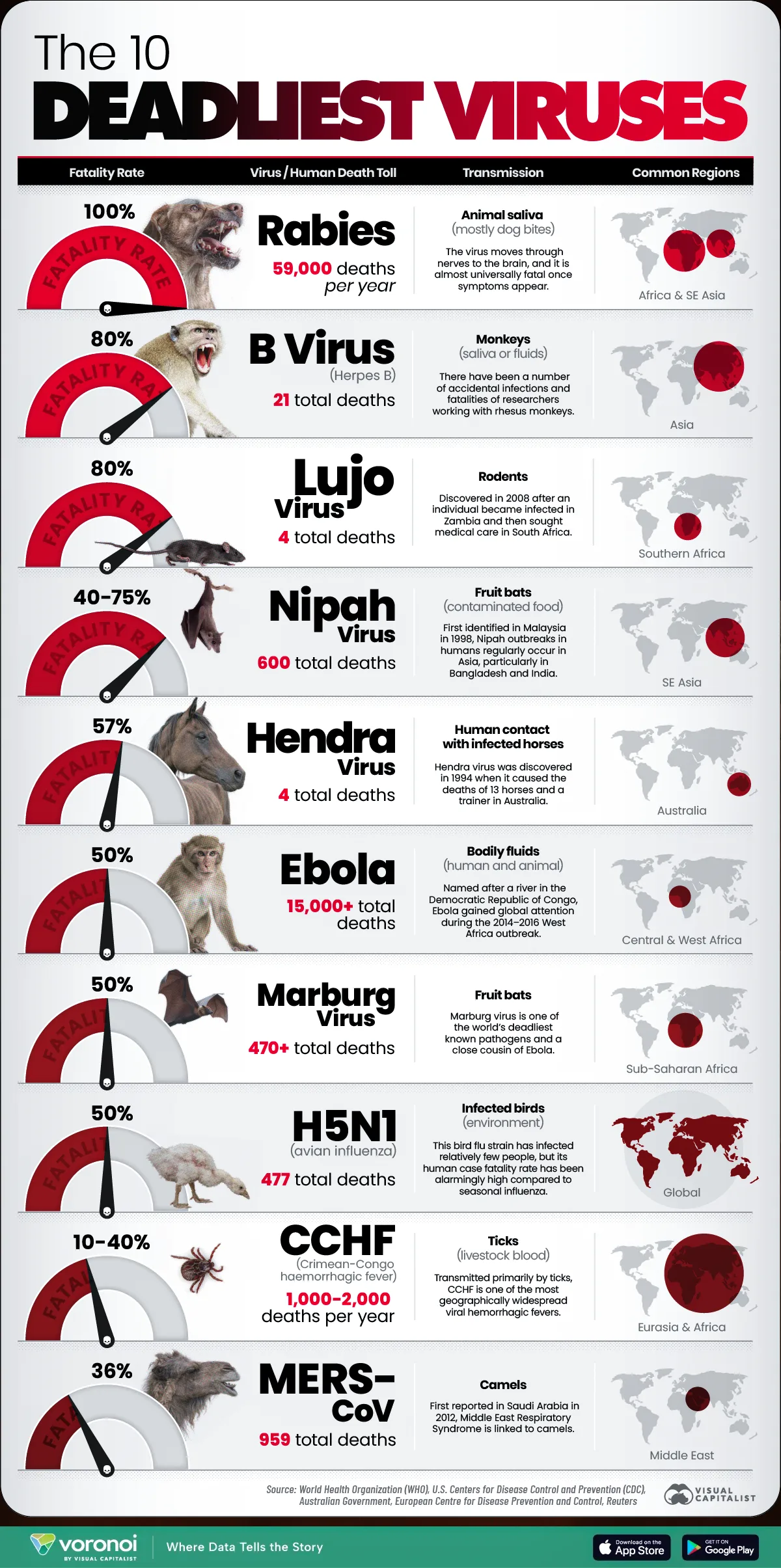 Graphic exploring the 10 deadliest viruses ranked by fatality rate, their transmission routes, regions, and death tolls worldwide.