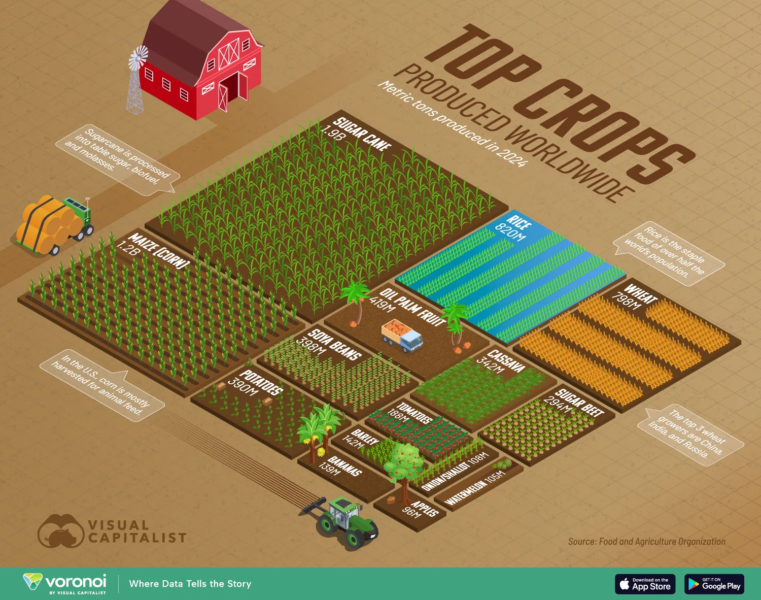Ranked: The World’s Most Harvested Crops