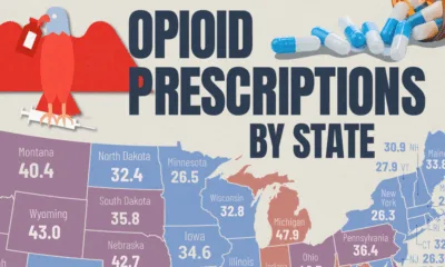This cropped map tracks the opioid prescription rates per 100 persons across all 50 U.S. states and DC per 2023 data from the CDC.
