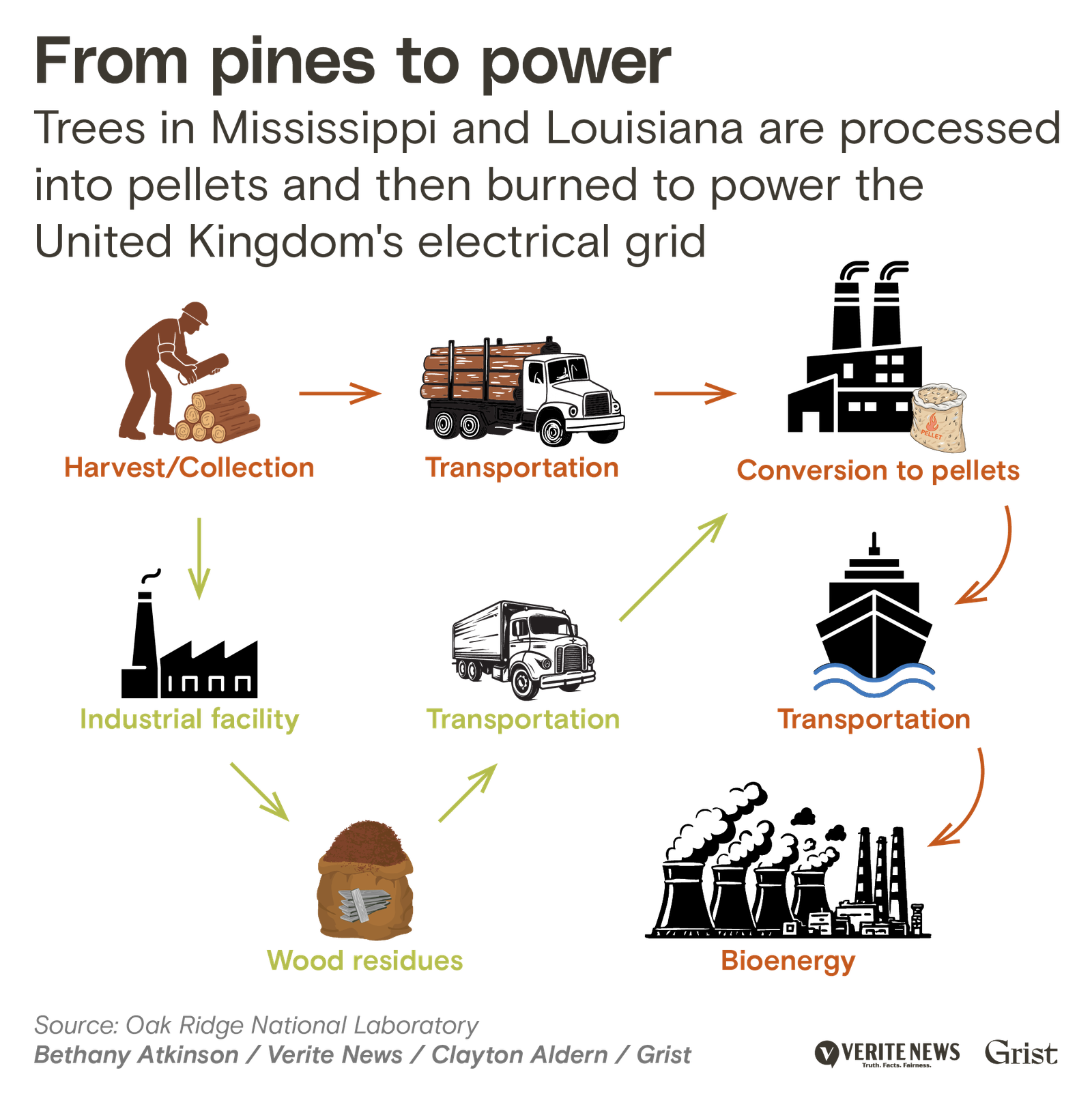 Flow diagram titled 'From pines to power' showing the wood pellet supply chain. The circular process begins with harvest/collection (worker with chainsaw and logs), moves to transportation (logging truck), then to an industrial facility for processing, which produces wood residues. These materials are transported again to conversion facilities where they become pellets, then transported by cargo ship overseas to bioenergy facilities (power plants with smokestacks) in the United Kingdom's electrical grid. Arrows connect each stage in the process.