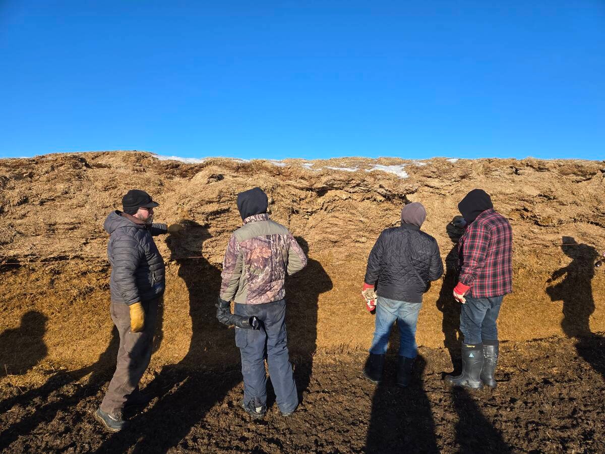 Participants in a winter grazing tour check out an on-field silage pile at Bos Family Farms near Rapid City, Man., on Jan. 12, 2026. Photo: Miranda Leybourne