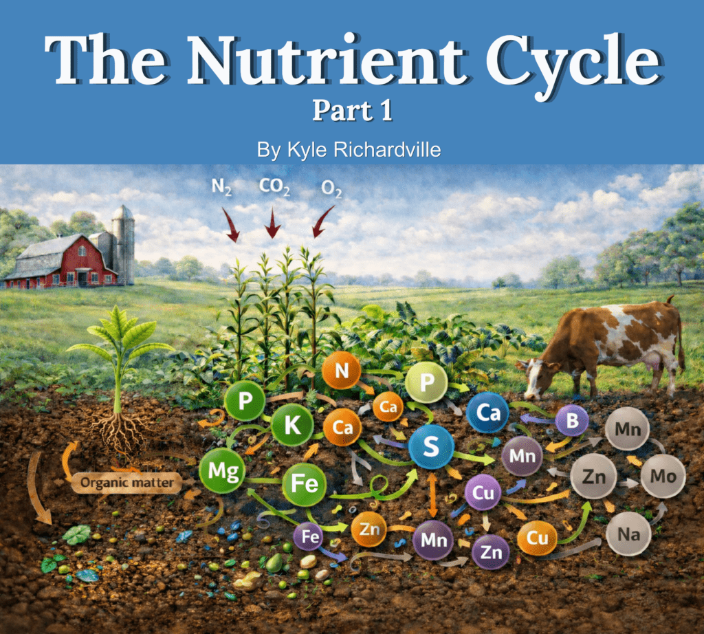 The Four Ecosystem Processes (1)