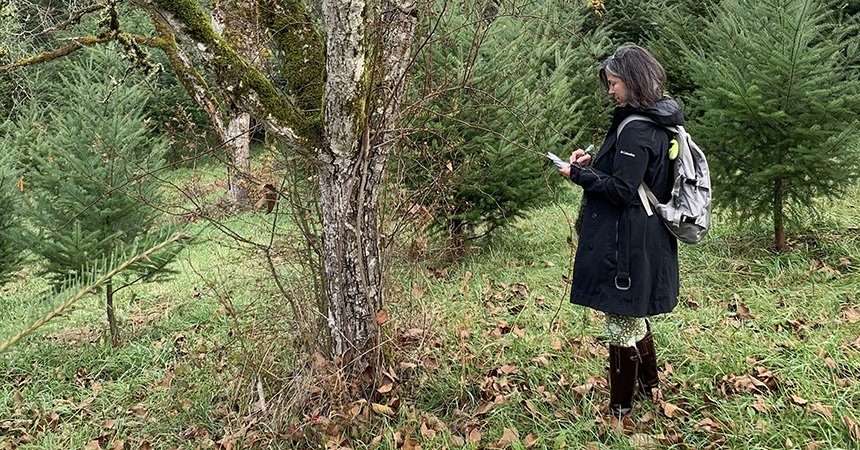 A person stands in a damp, mossy forest clearing, wearing a dark coat, boots, and a backpack. They hold a notebook in one hand and appear to be taking notes while surrounded by tall evergreen trees and a ground layer of grass and fallen leaves.