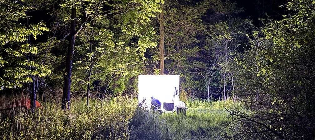 Moth sheet setup at Sydenham River Nature Reserve, biodiversity, pollinator, insects, Carolinian, southwestern Ontario