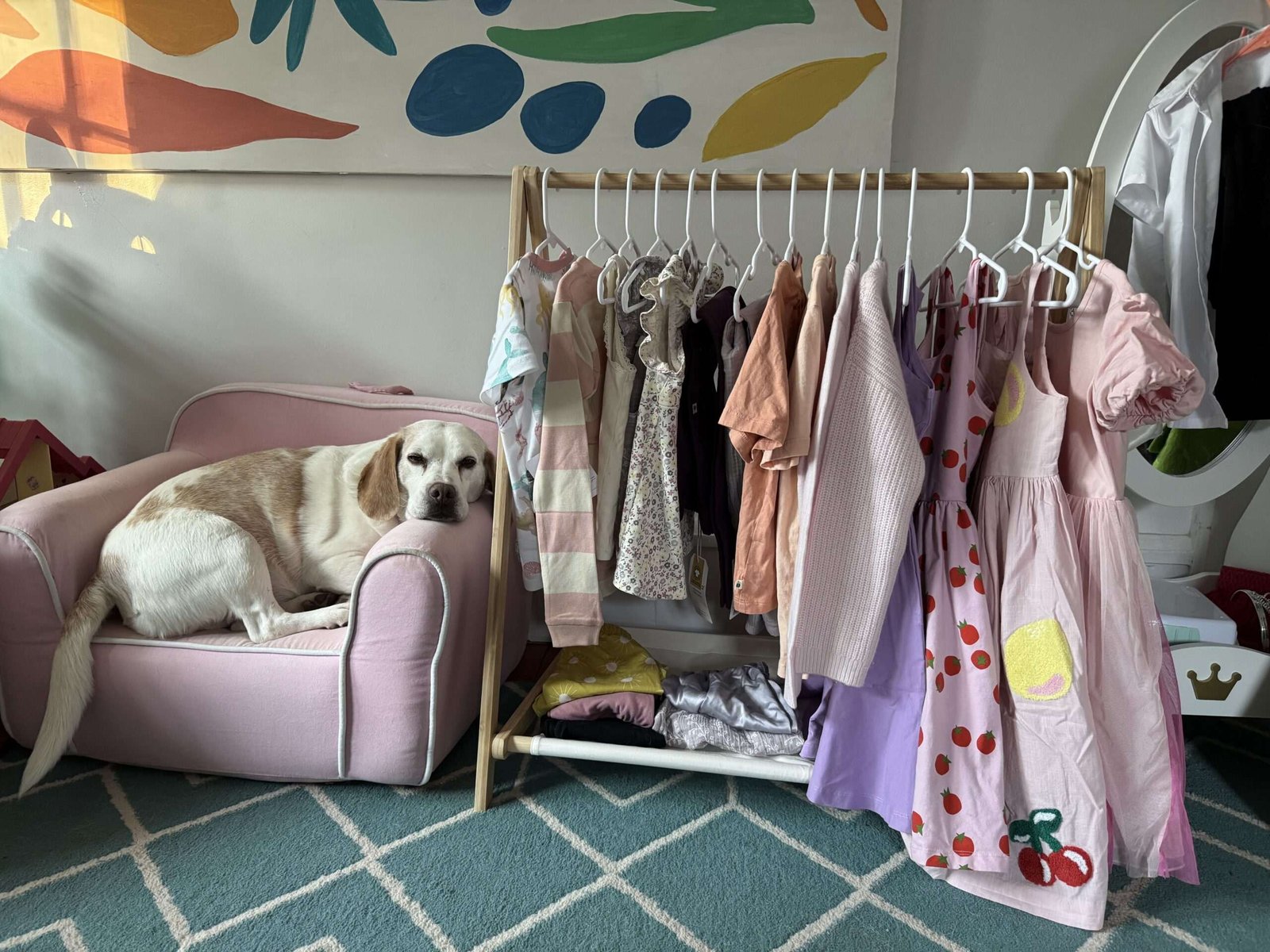 A yellow Labrador dog lies on a pink mini sofa next to a wooden rack holding various colorful children's clothing on hangers.