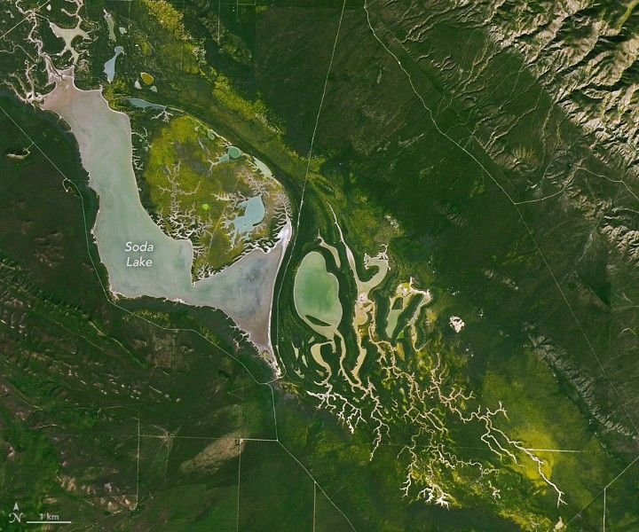 A more detailed view shows yellow blooms against a background of green surrounding Soda Lake and several streams to its east.