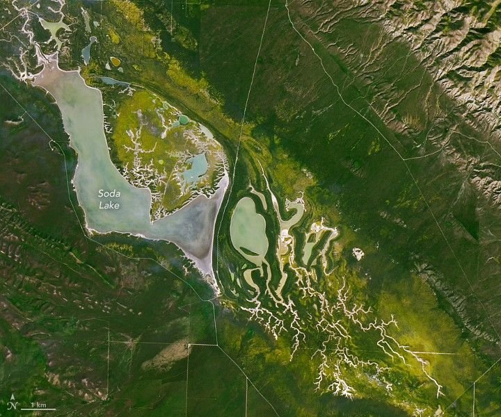 A more detailed view shows yellow blooms against a background of green surrounding Soda Lake and several streams to its east.
