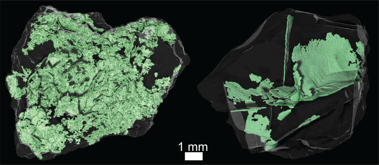 An X-Ray Computed Tomography (XCT) view of two irregularly-shaped, dark grey particles side-by-side against a black background.