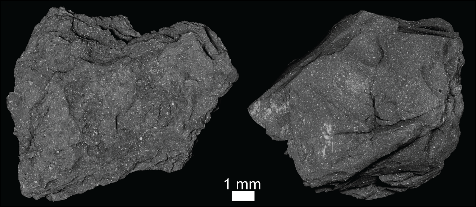 An X-Ray Computed Tomography (XCT) view of two irregularly-shaped, dark grey particles side-by-side against a black background.