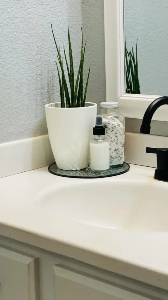Bathroom Counter Decor Ideas
