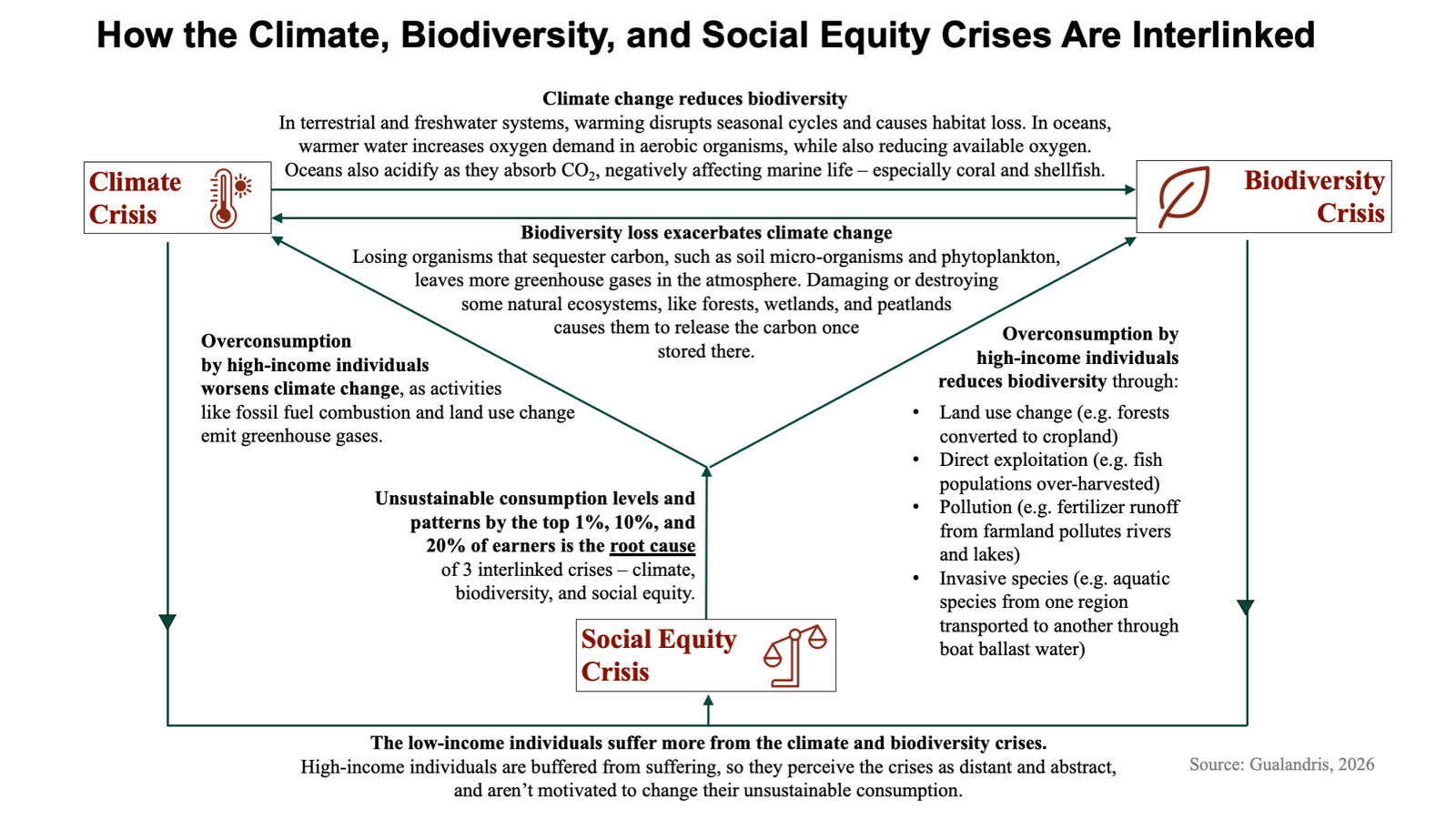 Diagram explaining how the climate biodiversity and social equity crises are interlinked