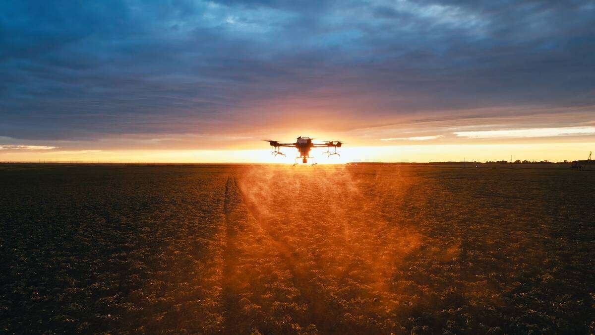 A DJI Agriculture drone spraying fertilizer in Australia. Nearly no pesticide products are approved for application by drone in Canada. Photo: Alexey Bondar/iStock/Getty Images