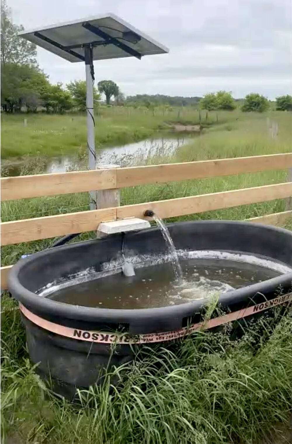 Tom Cunningham fenced off a pond plagued by erosion from cows accessing it for water and installed a solar-powered bilge pump and water trough to provide water further into the pasture. The pond is now teaming with life, provides clean water and has flourished into new habitat. Photo: Tom Cunningham