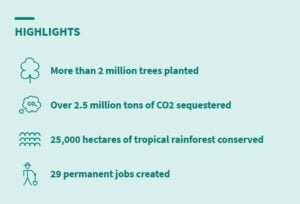 SABAH MALAYSIA RAINFOREST