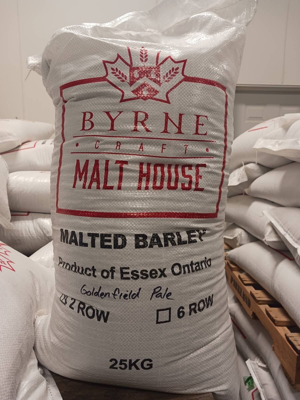 Byrne produces pale barley malt – the base malt used in most beer. Photo: Matt McIntosh