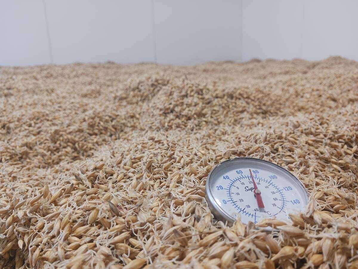 The Byrne family’s floor malting room.
Photo: Matt McIntosh