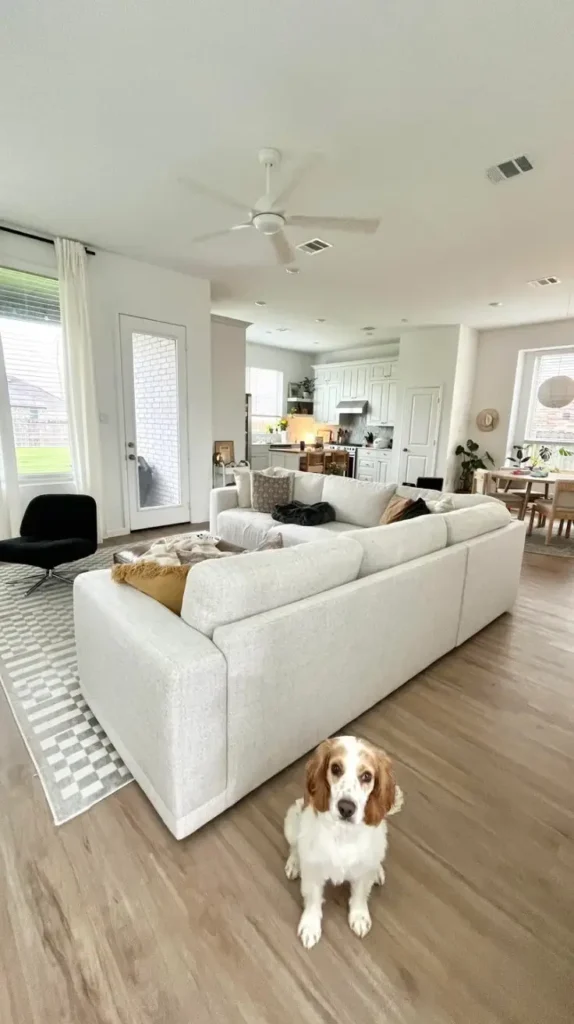 Living Hall Painting Ideas That Instantly Transform Your Space

