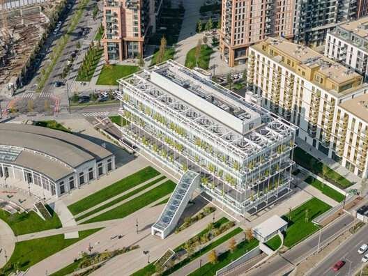 © Miloš Martinović