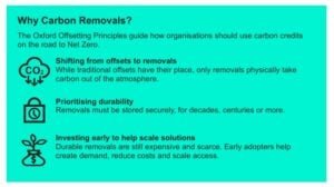 MERCEDEs CARBO REMOVALS