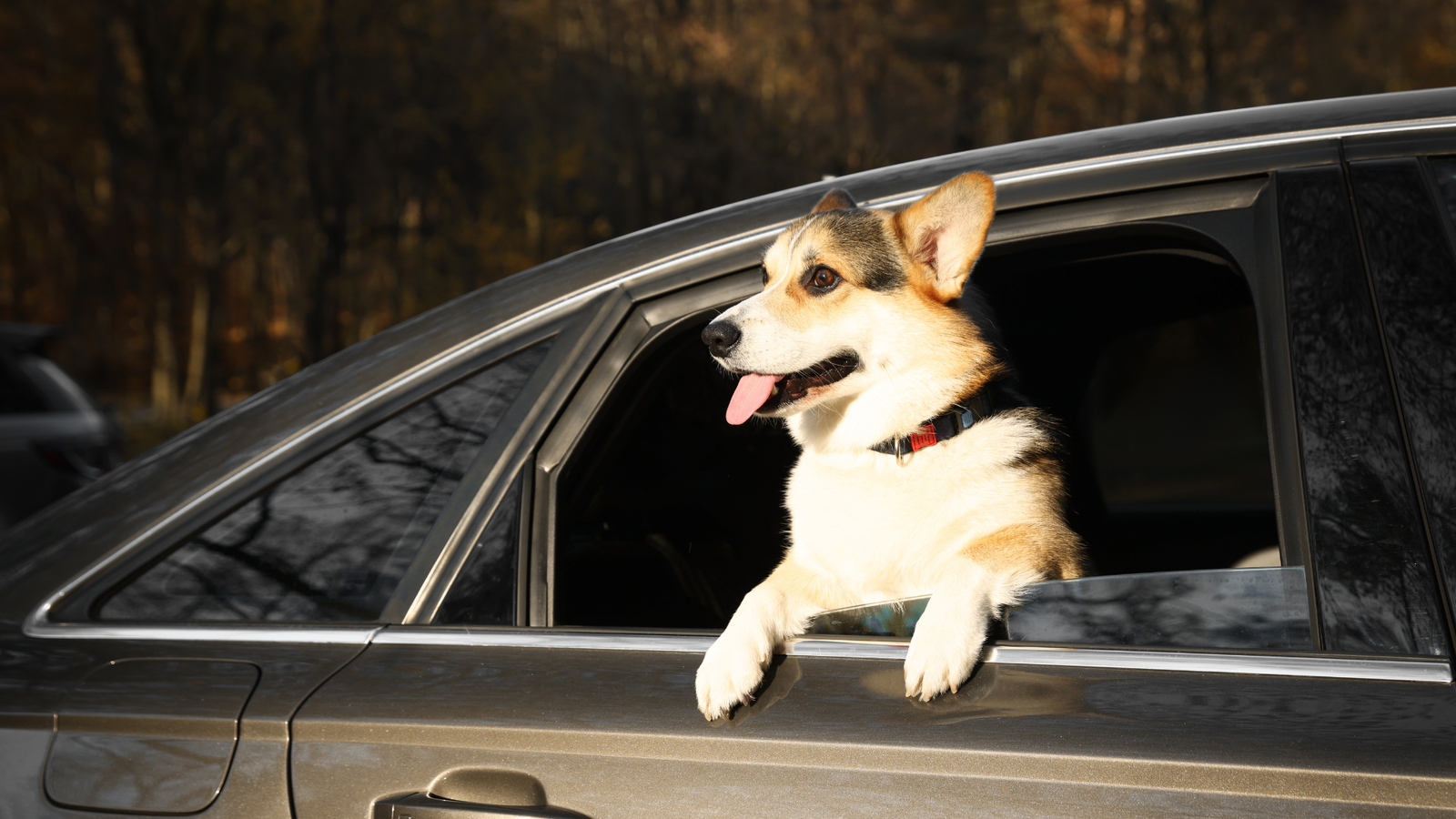 Mythbusting Common Fuel Economy Misconceptions