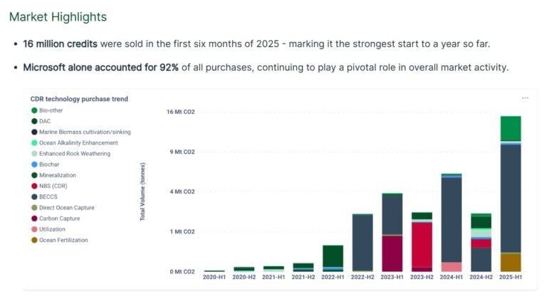 carbon removal credits purchase H1 2025