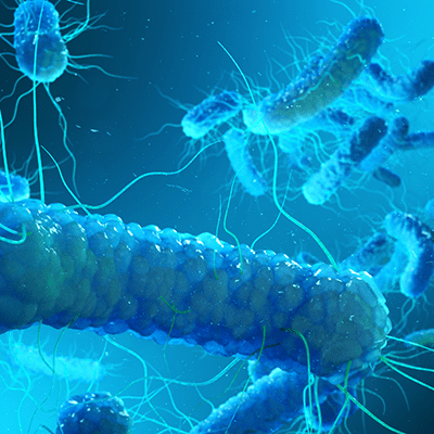 Tubular, ridged, sausage-like objects, floating within a blue-coloured space