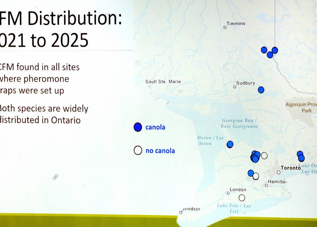 Research sites where pheromone traps for swede midge and canola flower midge were place in canola, and non-canola regions across Ontario to ascertain the distribution of both species. Image provided by Dr. Rebecca Hallett. 