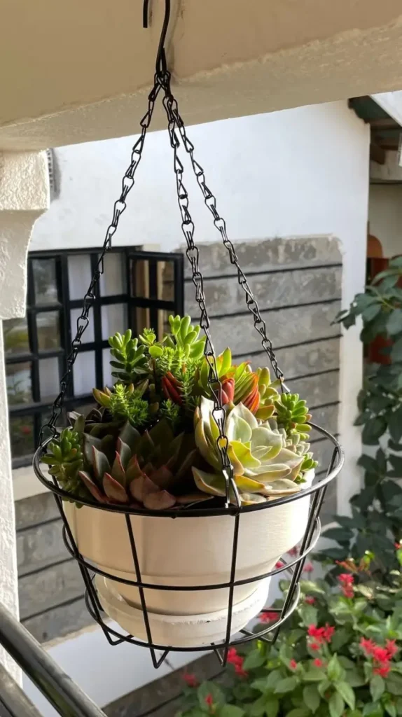 Small Back Porch Ideas to Transform Your Outdoor Space

